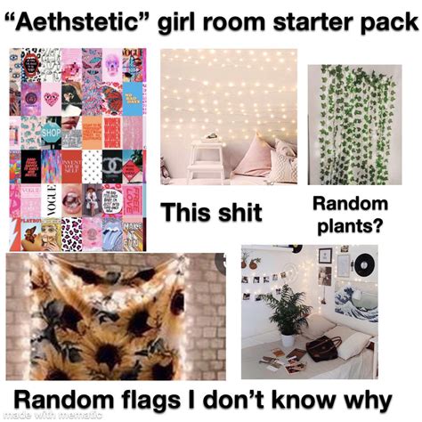 Aesthetic Girl Starter Pack Rstarterpacks