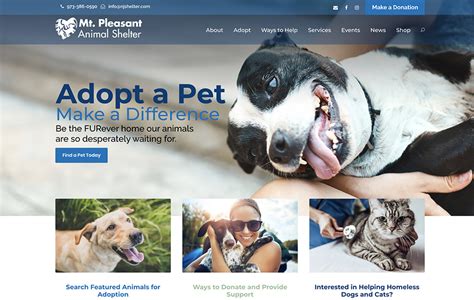 Animal HD Wallpapers: animal shelters near me websites