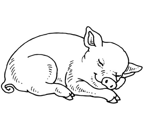Valentines day heart pig coloring pages. Sleeping Baby Pig coloring page | SuperColoring.com