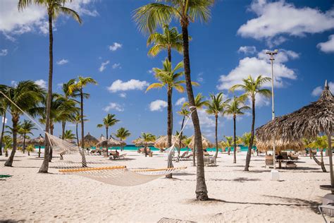 Manchebo Beach Resort And Spa Eagle Beach Aruba Boomkipnl