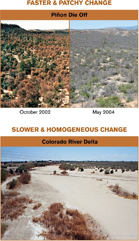 Top Landscape Transformation Associated With A Drought Induced Die Off
