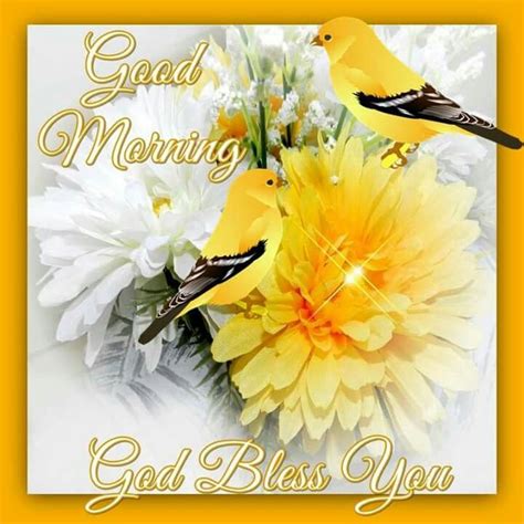 Good Morning God Bless You Pictures Photos And Images For Facebook