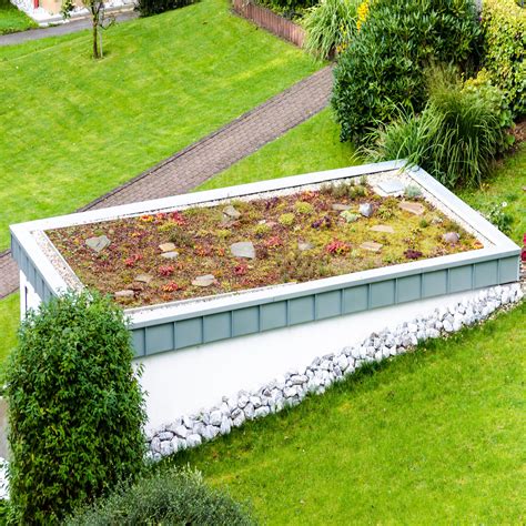 Green Roof Soil Sedum And Eco Roofs Green Tree