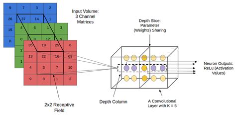 Convolutional Neural Networks Cnns An Illustrated Explanation Xrdsxrds