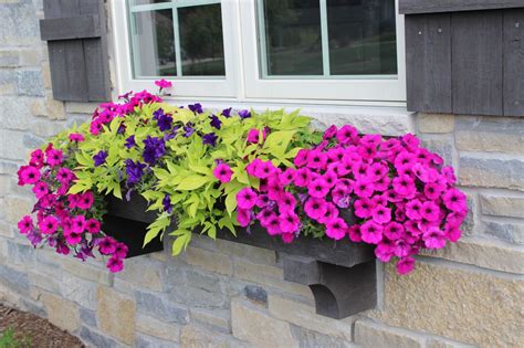 Jul 12, 2021 · in addition, plants in containers, pots, and window boxes tend to dry out faster, so you'll need to keep an eye on them after planting. Pretty Planters (20 of them)! - Momcrieff