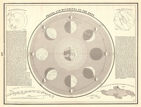 1895 Antique Moon Phases Astronomy Print Vintage Full Moon Etsy