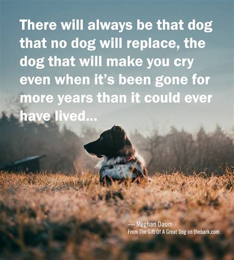 Dog Quotes Sad Shortquotescc