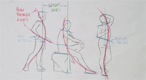 Life Drawing Fundamentals 1 Gesture Proportion And Line Northern Realist