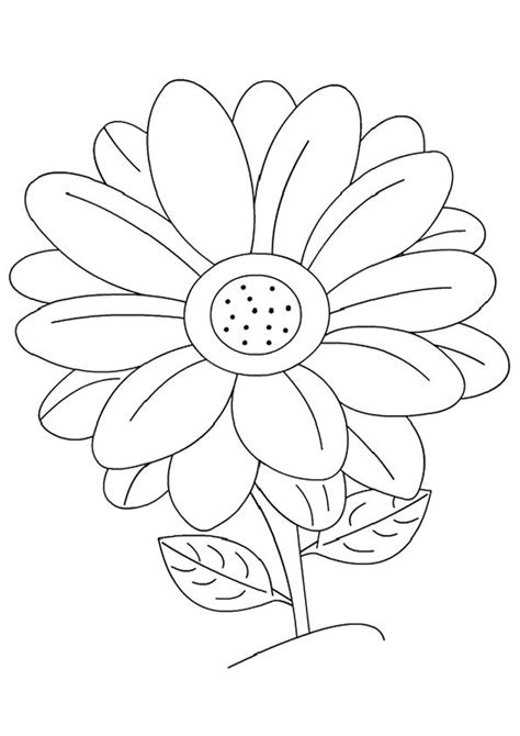 Two flowers with large petals. Free & Printable The Daisy Coloring Picture, Assignment Sheets Pictures for Child | Parentune.com