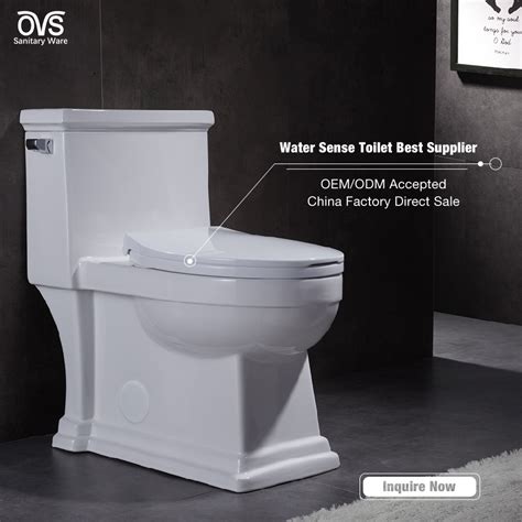 Best One Piece Toilet One Piece Toilets For Sale Ovs