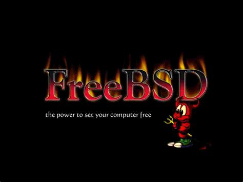Freebsd Wallpapers Top Free Freebsd Backgrounds Wallpaperaccess