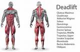 Pictures of Core Muscles Deadlift