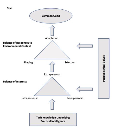 a balance theory of wisdom sternberg 1998 tacit knowledge download scientific diagram