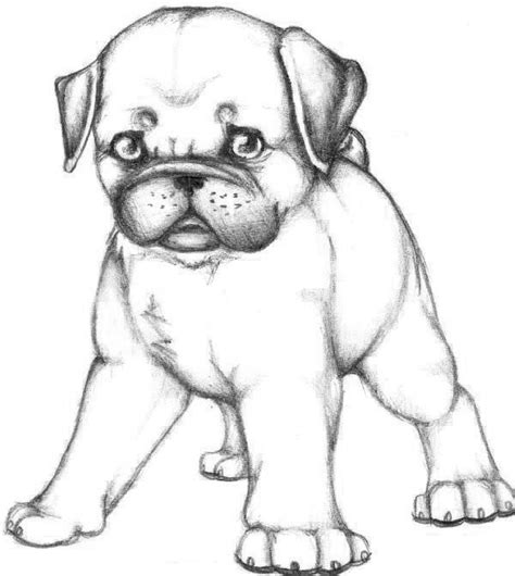 60 best coloring pugs images on Pinterest | Coloring books, Coloring