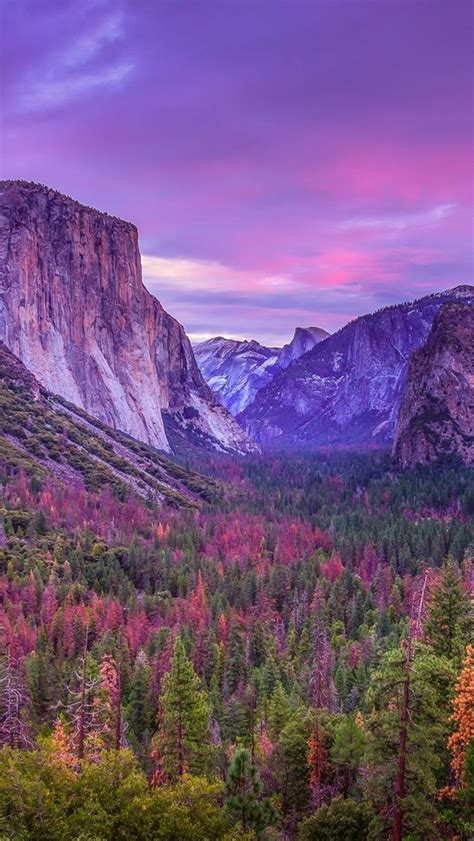Yosemite Valley Purple Landscape Wallpaper Backiee