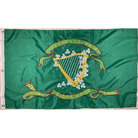 As white, southern troops raised the battle flag, they showed that they were fighting for change the u.s. Sons of Erin CSA Irish Flag, Irish Confederate Flag Nylon ...