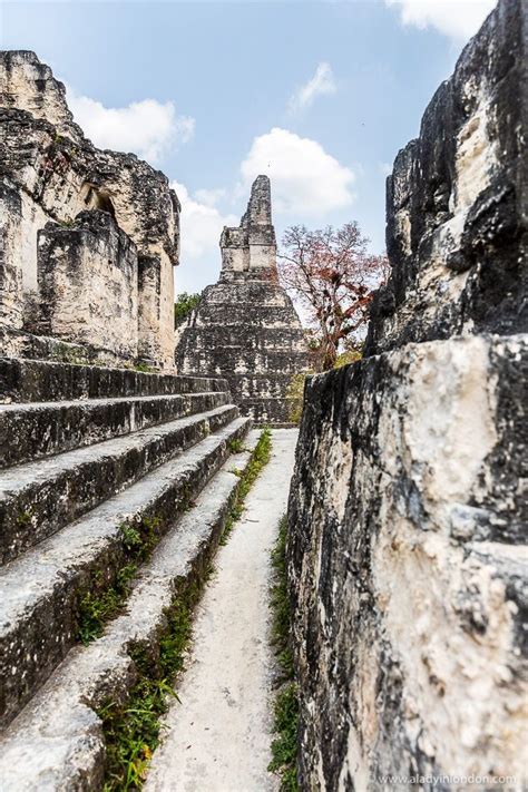 Visiting Tikal Everything You Need To Know Before You Go
