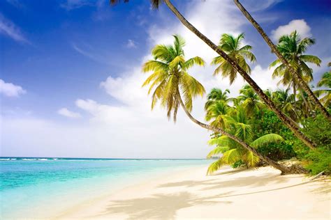 Relax In Caribbean Paradise Your World