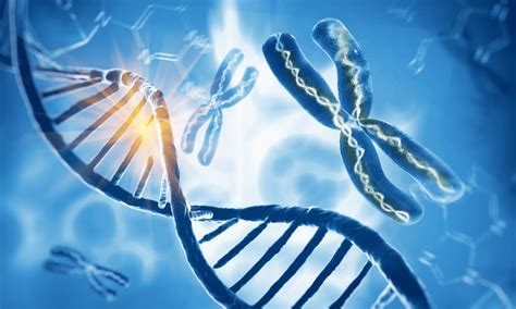 Uma Característica Genética Recessiva Presente No Cromossomo Y é