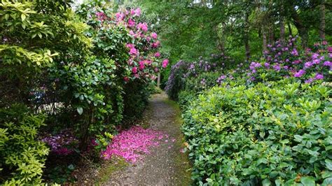 Coombe Wood Croydon Garden