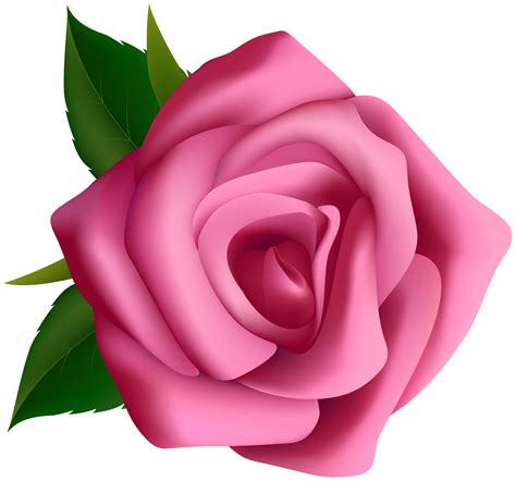 Clipart de Rosas para montagens digitais - Cantinho do blog png image