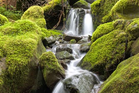 Close Up Of Small Waterfall And Mossy Rocks Stock Image Image Of