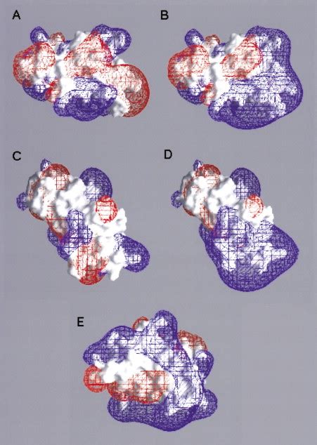 Electrostatic Control Of The Membrane Targeting Of C2 Domains