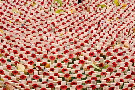 Poppies At Westminster Abbey On Remembrance Sunday Editorial Photo