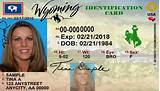 Photos of Wyoming Business License Search