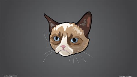 Free Download Grumpy Cat Cartoon 2560x1600 For Your Desktop Mobile