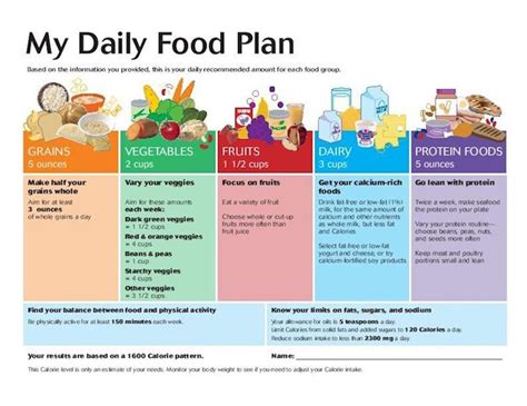 My Daily Food Plan 1600 Calories 18 Plus Years Old Daily Meal Plan