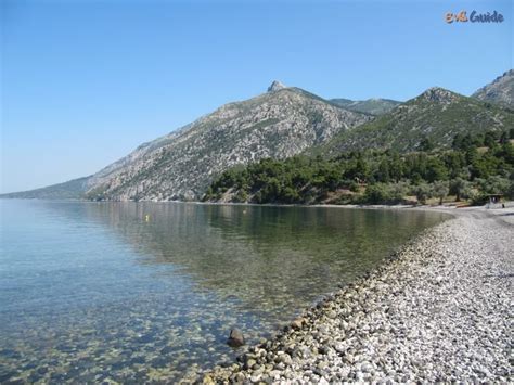 The splendid beach of dafni is considered one of the most beautiful in zakynthos. www.xapaki.gr: Παραλίες Ευβοίας: Κεντρική Εύβοια (μέρος 1ο)
