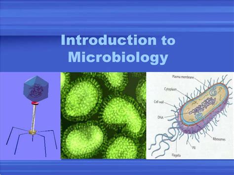 Ppt Introduction To Microbiology Powerpoint Presentation Free
