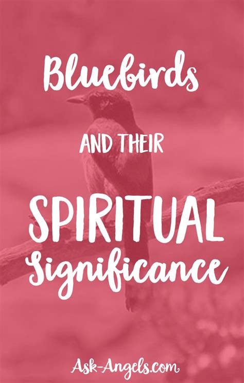 The Spiritual Meaning Of Bluebird Spirituality Blue Bird Spirit Meaning