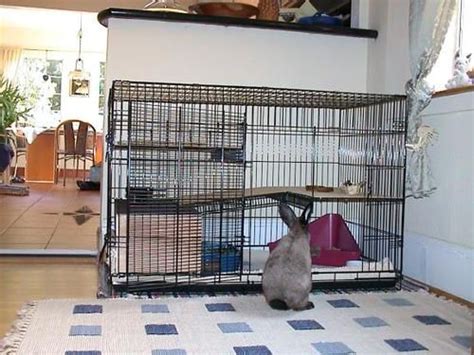 Pin By Sierra Faullin On Furry Love Dog Crate Bunny Cages Diy