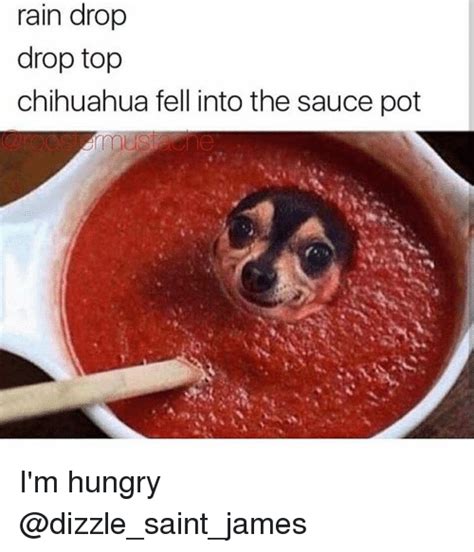 Rain Drop Drop Top Chihuahua Fell Into The Sauce Pot Im Hungry