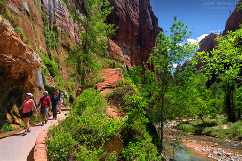 Riverside Walk Hiking Guide Joes Guide To Zion National Park