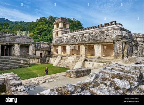 Ruin Of Maya Palace Palenque Archaeological Site Palenque Chiapas