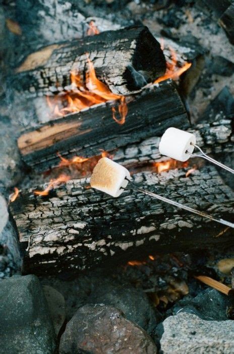 Roasted Marshmallows Into The West Into The Fire Recipes With