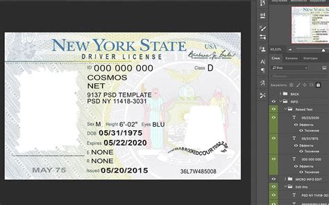 New York Driver License Psd Template Fake Docs