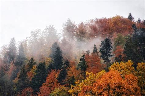 Autumn Mist Photograph By Alexandra Herzog Fine Art America