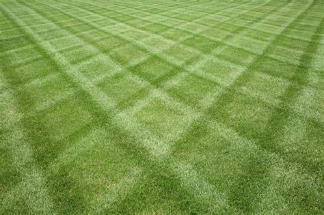 Lawn Mowing Patterns That Will Enhance Your Garden Appeal