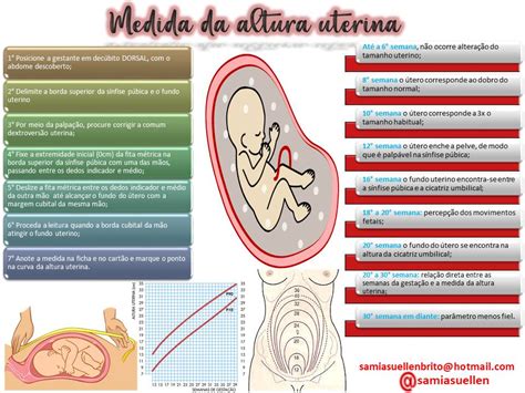 Altura Uterina E Idade Gestacional Ensino