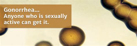 Gonorrhea Sexually Transmitted Diseasesinfections Stds Health