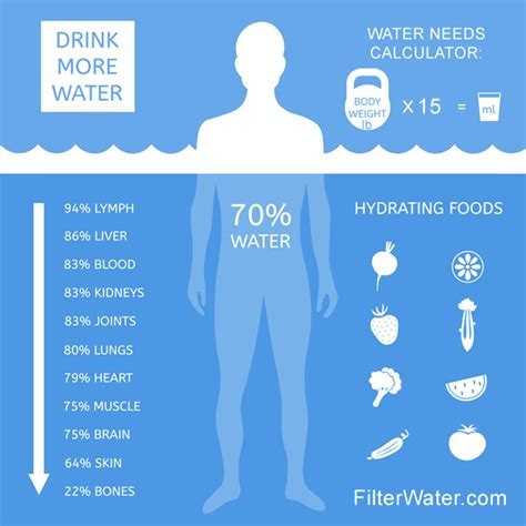 Total body water is distributed between intracellular fluid and extracellular fluid. How Much Water Should I Drink A Day | FilterWater.com