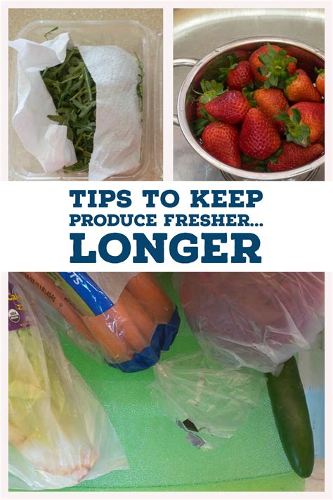 Keep Your Produce Fresh Longer In 2020 Produce Recipes Reduce Food