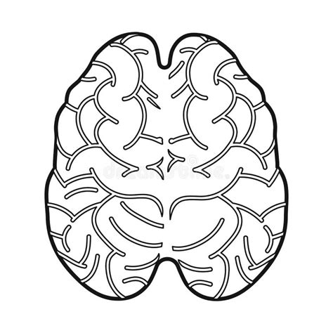 Vector Illustration Of Cerebrum And Hemisphere Logo Web Element Of