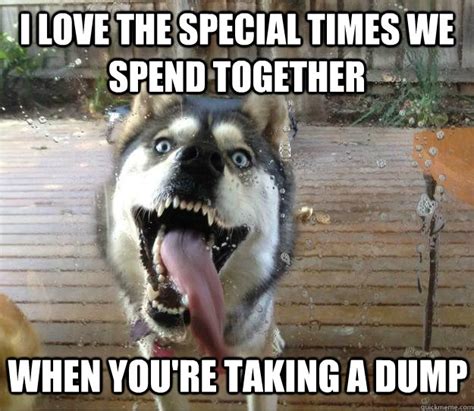 Overly Attached Dog Memes Quickmeme