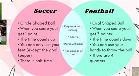 Football Graphic Organizer Give 8 Examples Brainlyph