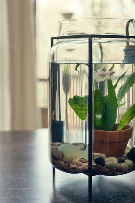 Betta fish decorations top tank substrates and toys source 15 Awesome DIY Fish Tank With Mason Jar Ideas | HomeMydesign